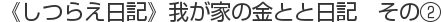 《しつらえ日記》我が家の金とと日記　その②