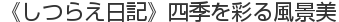 《しつらえ日記》四季を彩る風景美