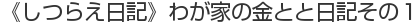 《しつらえ日記》わが家の金とと日記その１